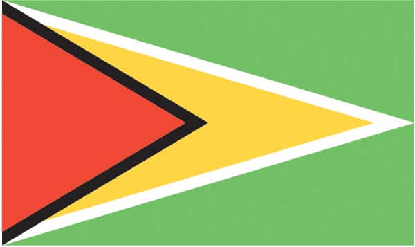 Guyana Flag