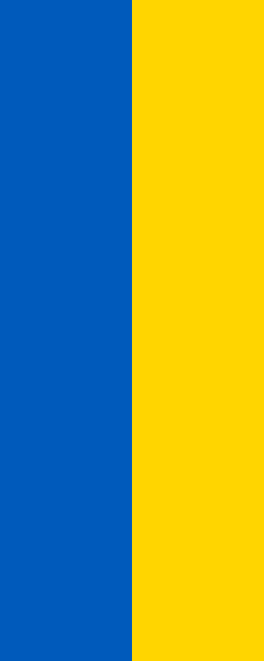 The Hanging Ukrainian Flag (1992 to Present Day)