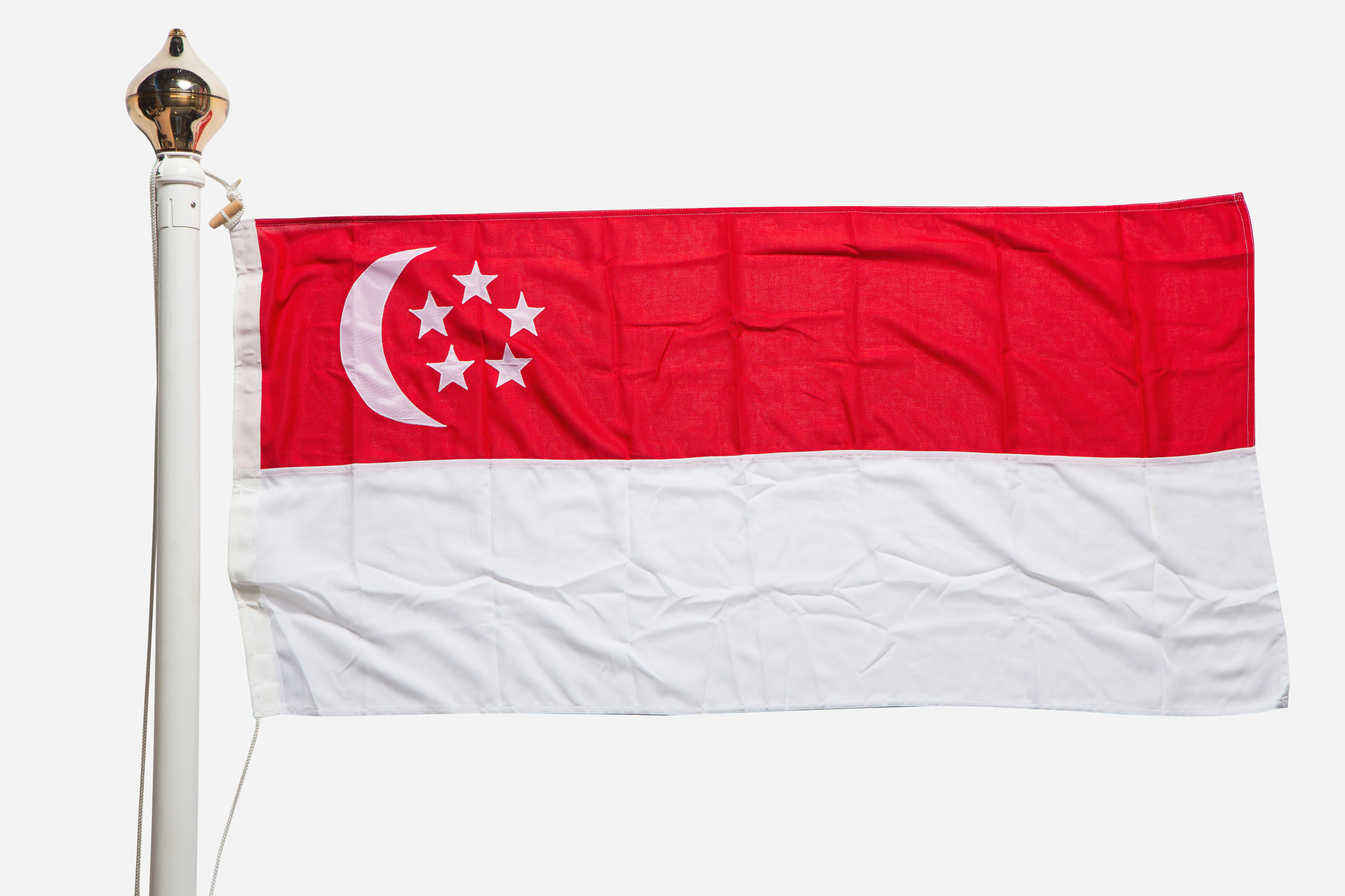 Singapore Flag